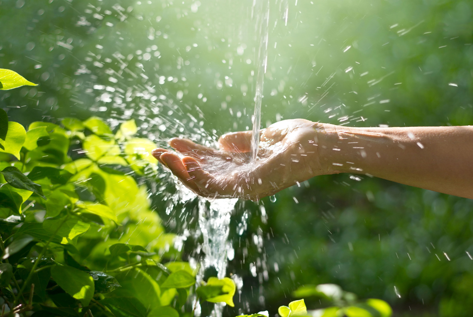 Image of a hand collecting water